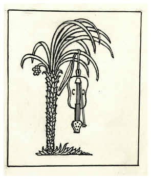 Visualizza l'immagine "FD D 1637"